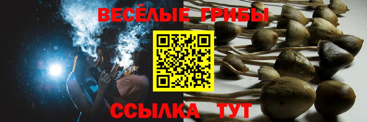 Псилоцибиновые грибы ЛСД Вязьма